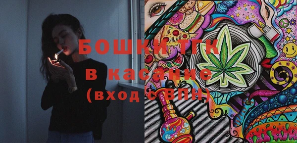 сатива Алексеевка