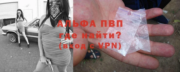 сатива Алексеевка