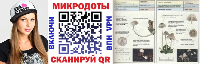 Галлюциногенные грибы Psilocybine cubensis  Новошахтинск 